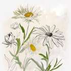 Pure Simplicity II Art Print