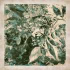 Timeless Foliage Art Print