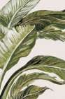 Green Tropical Hues Art Print