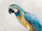 Polly Art Print