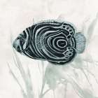 Something Fishy I Minimalist Print