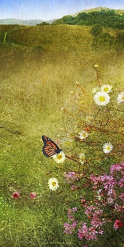 In the Meadow I Art Print