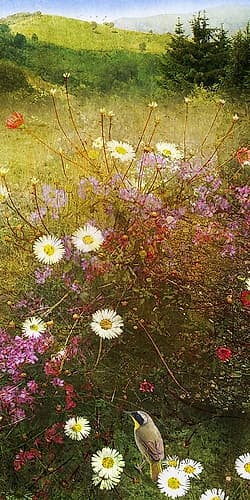 In the Meadow II Art Print