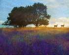 Tree Hill Flowers Art Print
