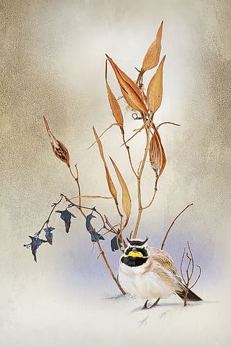 Morning in the snow Art Print