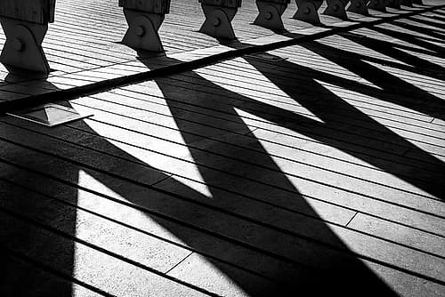 Afternoon Lines Art Print by Dmitry Kirshner