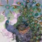 Peacock Prance Art Print