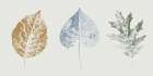 Fall Visions I Minimalist Print