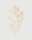 Colour Leaf Print IV Art Print