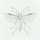 Insect Line Art Print