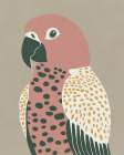 Pink Parrot Art Print