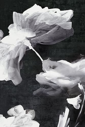 Dark Beauty II Art Print