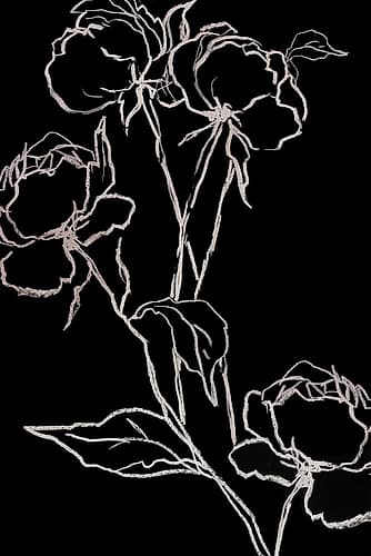 Sudden Sense Art Print