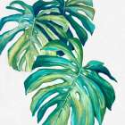 Botanical Monstera II Art Print