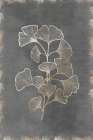 Gilded Botanical II Art Print