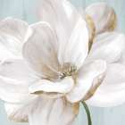 Soft White II Art Print
