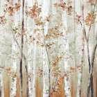 Birch Wood III Art Print