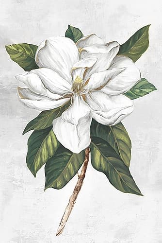 Pearly Beauty I Art Print