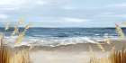 Untouched Beach Grass Art Print