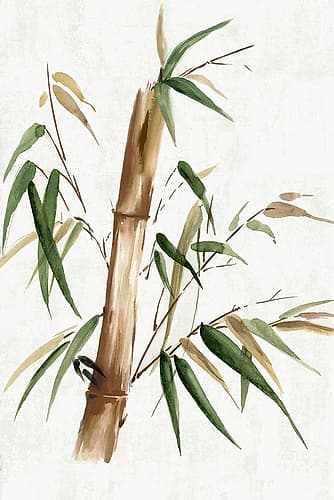Green Bamboo II Art Print