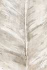 Leaf Overlay II Botanical Print