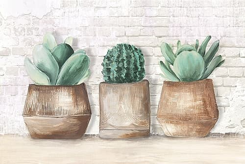 Three Cactus Tropical Print