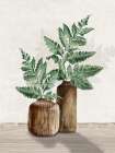 Fern and Wood II Botanical Print