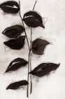 Leaves I Botanical Print