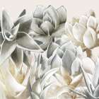 Pastel Desert Flower II Art Print