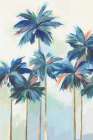 Sunset Teal Pams I Art Print