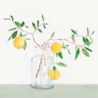 Sweet Lemonade Botanical Print