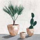 Tropical Vases Botanical Print