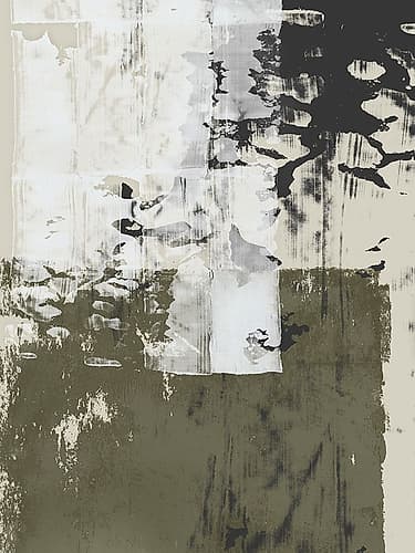 Reflections in Sage II Art Print