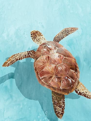 Ocean Deep Turtle II Art Print by Isabelle Z