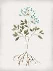Rooted Floral III Art Print