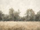 Woodland Watercolors II Art Print