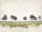 Still Woodland I Art Print