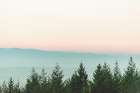 Forest Sunset Pink Sky Mountain Fog Art Print