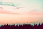 Sunset Over The Pines Art Print