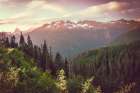 Cascade Mountain Summer Flower Sunset Art Print