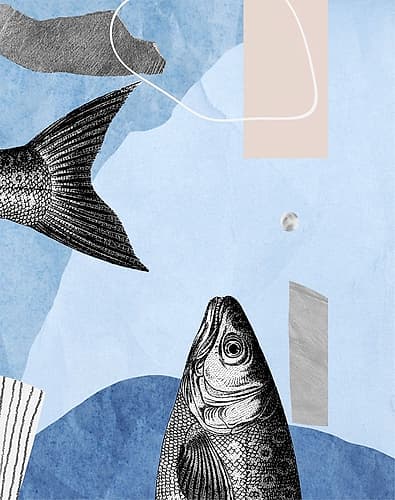 Top and Tail I Art Print