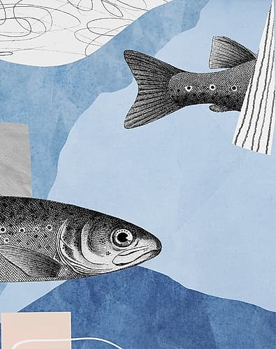 Top and Tail II Art Print by Karen Smith