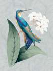 Bird and Bloom I Art Print