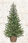 Everygreen Christmas Tree Art Print by PI Studio