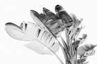 Tropical Velvet I - BW Botanical Print