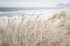 Soft Shades and Gentle Waves Art Print