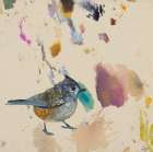 Tree Swallow Art Print