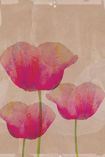Pink Blossoms on Textured Canvas I Art Print
