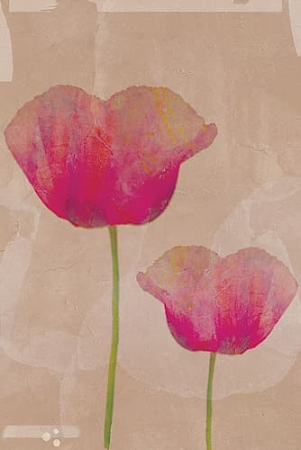 Pink Blossoms on Textured Canvas II Art Print
