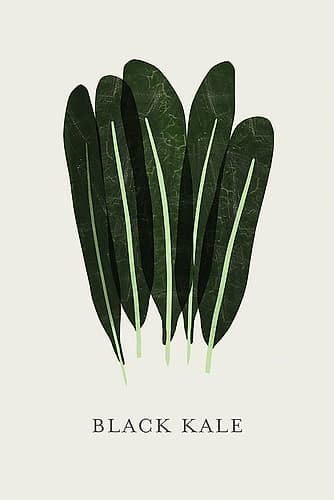 Black Kale Art Print